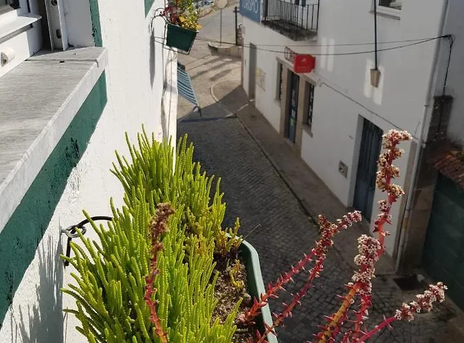 Pensão David, Casa de hóspedes