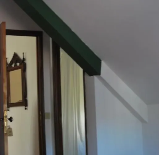 Pensão David, Casa de hóspedes São Pedro do Sul